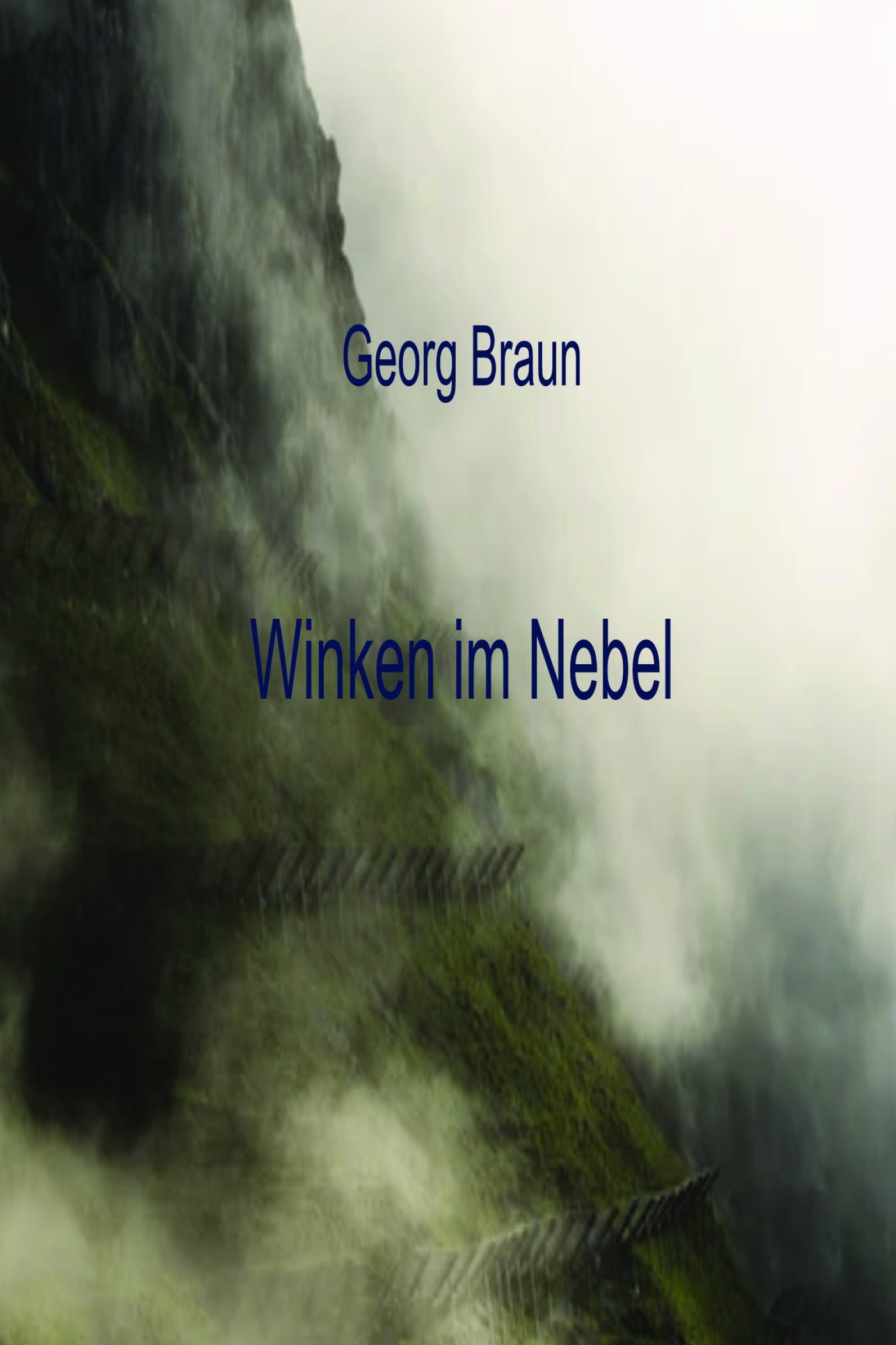 Winken im Nebel - Georg Braun - ebook