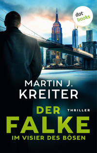 Der Falke – Im Visier des Bösen - Martin J. Kreiter - ebook