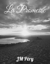 La Promesse - JM Péry - ebook