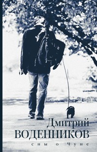 Сны о Чуне - Дмитрий Воденников - ebook