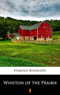Winston of the Prairie - Harold Bindloss - ebook