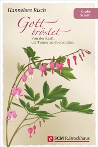 Gott tröstet - Hannelore Risch - ebook