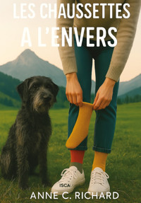 Les chaussettes à l'envers - Anne C. Richard - ebook