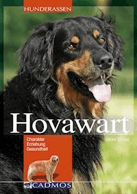 Hovawart - Ulrike Stickel - ebook