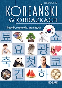 Koreański w obrazkach Słownik, rozmówki, gramatyka - Choi Jeong - książka