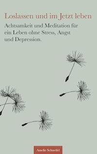 Loslassen und im Jetzt leben - Amelie Schneifel - ebook