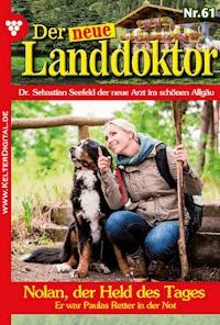 Nolan, der Held des Tages - Tessa Hofreiter - ebook