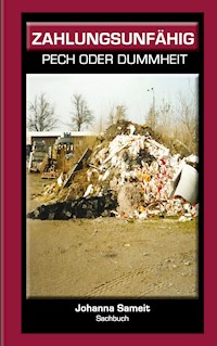 Zahlungsunfähig - Johanna Sameit - ebook