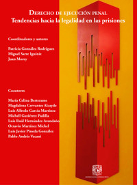 Derecho de ejecución penal. Tendencias hacia la legalidad en las prisiones - Patricia Lucila González Rodríguez - ebook