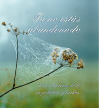 Tú no estás abandonado - Gabriele, Dipl. Ing. Höller - ebook