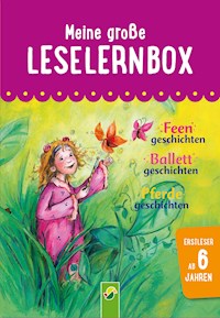 Meine große Leselernbox: Feengeschichten, Ballettgeschichten, Pferdegeschichten - Carola von Kessel - ebook