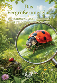 Das Vergrößerungsglas - Manfred Schmidt - ebook
