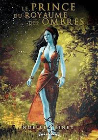 Le Prince du Royaume des Ombres - Tome 1 - Noëlle Binet - ebook