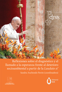 Reflexiones sobre el diagnóstico y el llamado a la esperanza frente al deterioro socioambiental a partir de Laudato Si' - Luis Pesquera Olalde - ebook