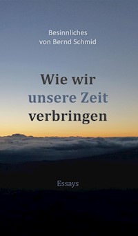 Wie wir unsere Zeit verbringen - Bernd Schmid - ebook