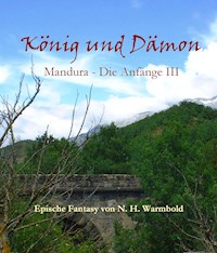 König und Dämon - N. H. Warmbold - ebook