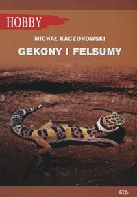 Gekony i felsumy - Michał Kaczorowski - książka