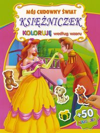 Mój cudowny świat księżniczek Różowa -  - książka