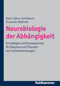 Neurobiologie der Abhängigkeit - Andreas Heinz - ebook