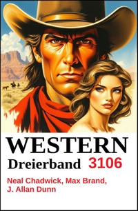 Western Dreierband 3106 - Neal Chadwick - ebook