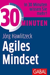 30 Minuten Agiles Mindset - Jörg Hawlitzeck - ebook