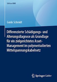 Differenzierte Schädigungs- und Alterungsdiagnose als Grundlage für ein zielgerichtetes Asset-Management im polymerisolierten Mittelspannungskabelnetz - Guido Schmidt - ebook