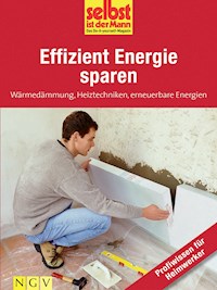 Effizient Energie sparen - Profiwissen für Heimwerker -  - ebook