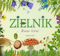 Zielnik Runo leśne - Garbarczyk Henryk - książka