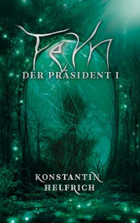 Feyn - Konstantin Helfrich - ebook