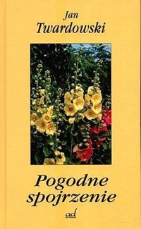 Ważne i najważniejsze - Twardowski Jan - ebook