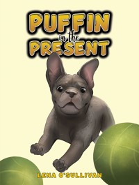 Puffin in the Present - Lena O'Sullivan - ebook