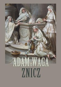 Znicz - Adam Waga - książka