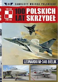 100 lat polskich skrzydeł Tom 24 - Fiszer Michał, Gruszczyński Jerzy - książka