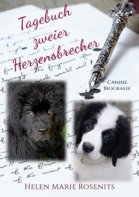 Tagebuch zweier Herzensbrecher - Helen Marie Rosenits - ebook