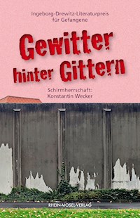 Gewitter hinter Gittern - Frank Bieber-Kopf - ebook
