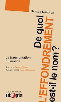 De quoi l’effondrement est-il le nom ? - Renaud Duterme - ebook