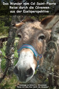 Das Wunder vom Col Saint-Pierre - Sandra Dittrich - ebook