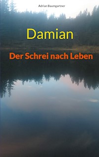 Damian - Adrian Baumgartner - ebook