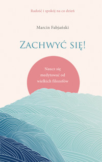Zachwyć się! Naucz się medytować od wielkich filozofów - Marcin Fabjański - ebook