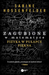 Zagubione w matematyce - Hosenfelder Sabine - książka
