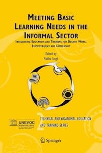 Meeting Basic Learning Needs in the Informal Sector -  - ebook