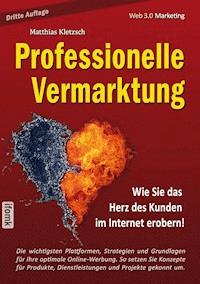 Professionelle Vermarktung und Kampagnengestaltung im Internet - Matthias Kletzsch - ebook