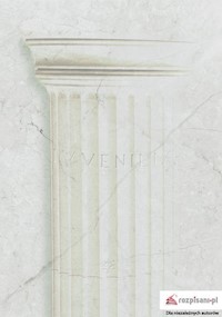 Juwenilia - Li - książka