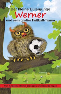 Der kleine Eulenjunge Werner und sein großer Fußball-Traum - Angelika Hamm-Bonczek - ebook