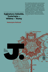 Sygnatury Sebalda. Zwierzęta - Widma - Ruiny - Katarzyna Kończal - książka