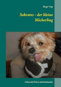 Sokrates - der kleine Mickerling - Birgit Vogt - ebook