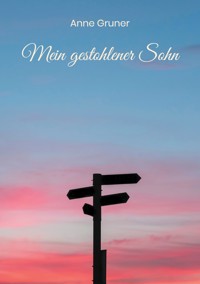 Mein gestohlener Sohn - Anne Gruner - ebook