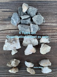 6 Tipps ein Organisationstalent zu sein - Karina Müller - ebook