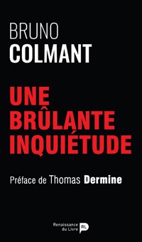 Une brûlante inquiétude - Bruno Colmant - ebook