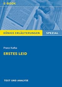 Erstes Leid von Franz Kafka. Königs Erläuterungen Spezial. - Franz Kafka - ebook